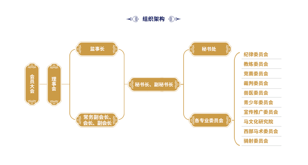 广东省马术组织架构3(2).jpg