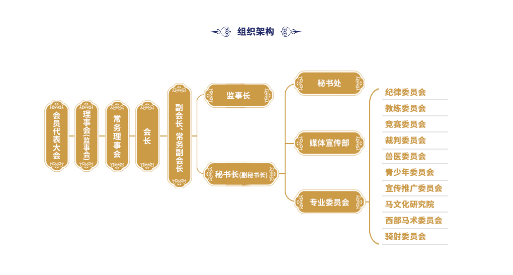 广东省马术组织架构6(1).jpg