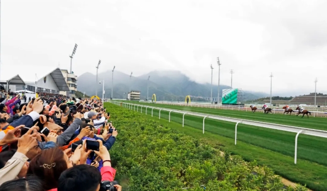 1726044864922746.png 大会7.png